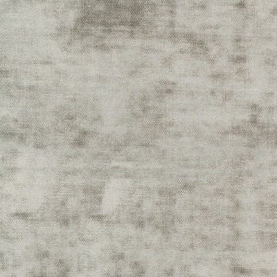 Silver State Cloud Nine Fossil